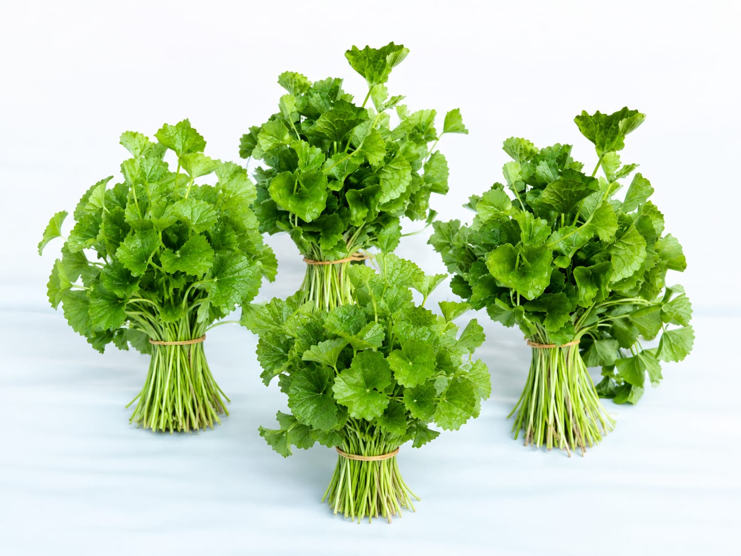 Gotukola (100 g) - Image 3